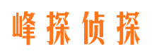 巴州寻人公司